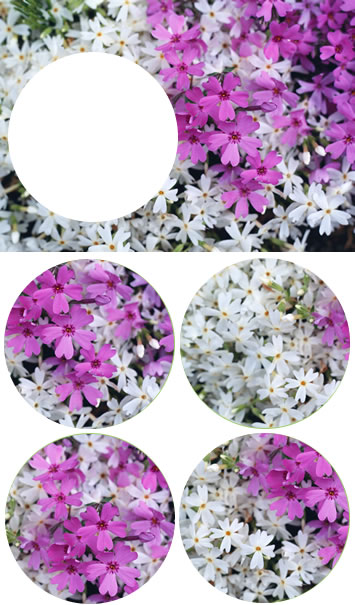 �󔒃s�[�X���ăN�C�Y